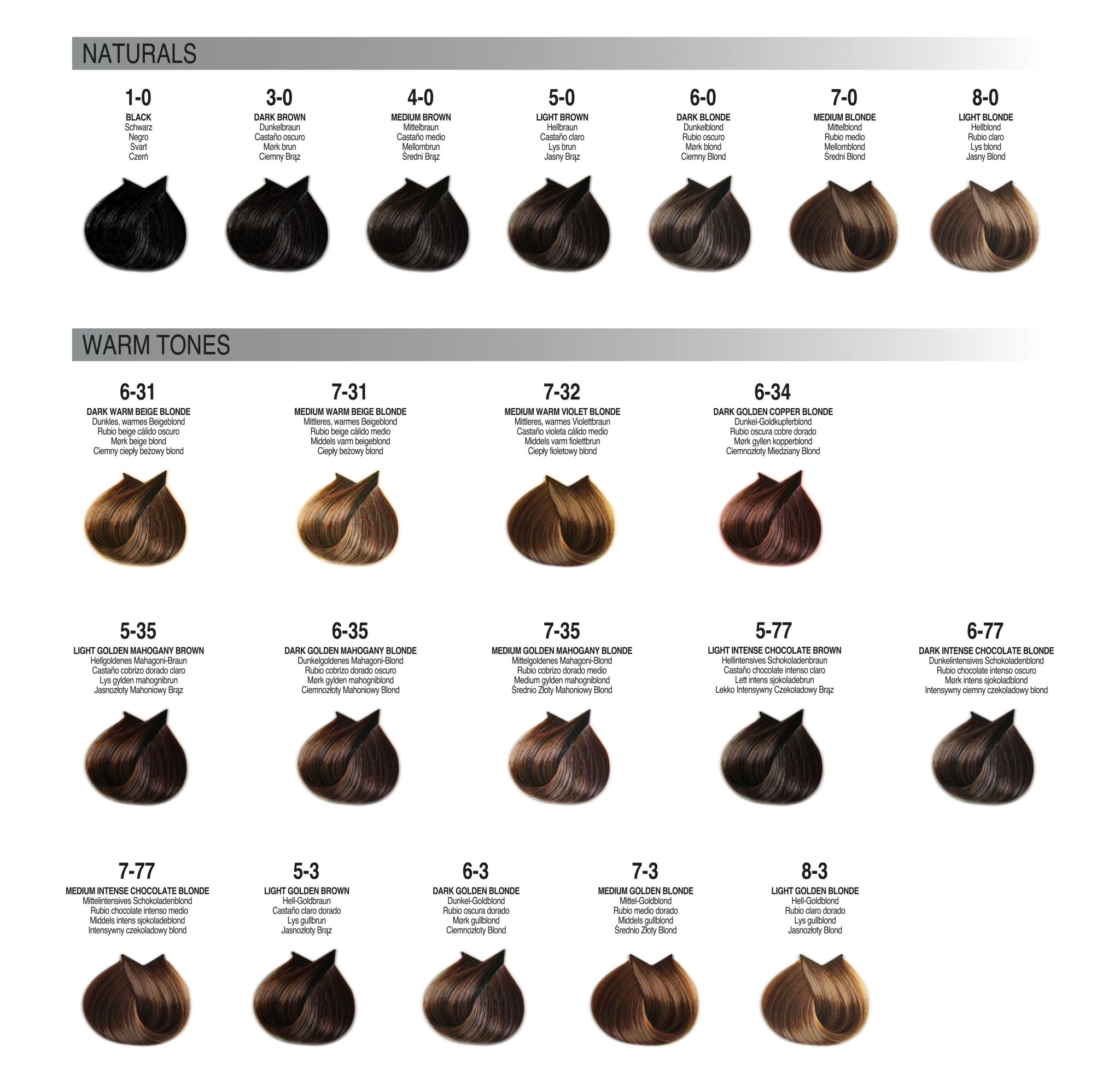 NXT Shade Guides